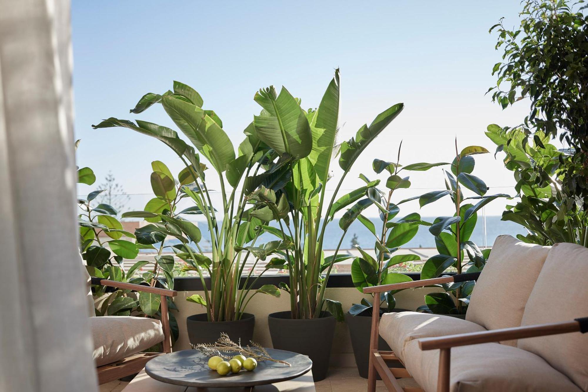 Helea Lifestyle Beach Resort Kallithéa Esterno foto A balcony garden